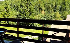 Studio Central Sinaia
